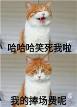 ����һ�������ҷϰ������