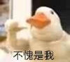 �Һô������������ͼ5