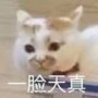 �Һô������������ͼ3