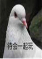 �Һô����������