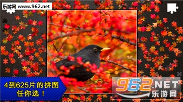 ƴͼ���ܻ�԰��׿���ͼ2