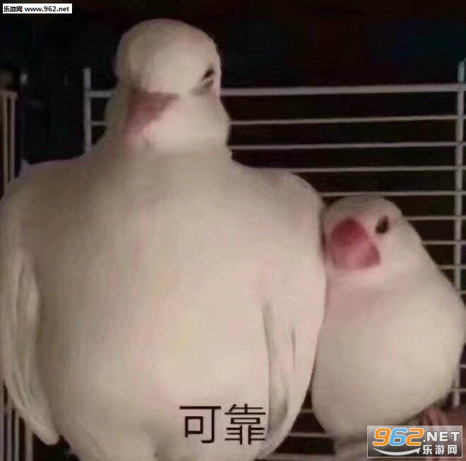 �մ��ɿ�������ͼƬ��ͼ1