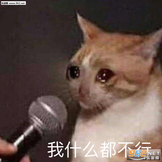 ��ʲô�����б������ͼ0