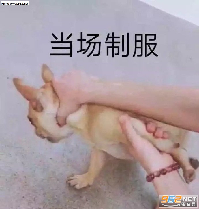 ��ó��μ���������ͼ2