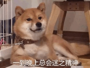 ����bb��������