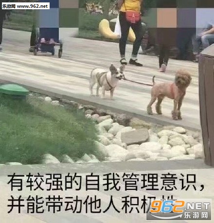 ����һֻС��������