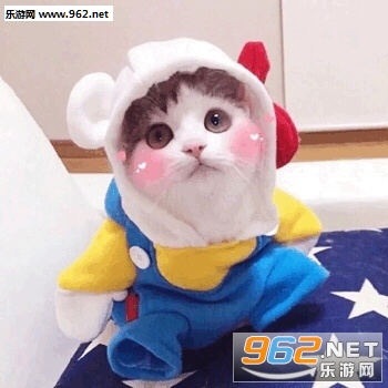 ��ƭ�Ӵ�Ǯ���������ɫ�����