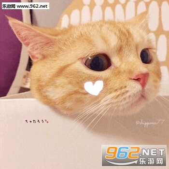 ��ƭ�Ӵ�Ǯ���������ɫ�����