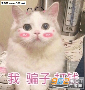 ��ƭ�Ӵ�Ǯ���������ɫ�����
