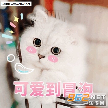 ��ƭ�Ӵ�Ǯ���������ɫ�����