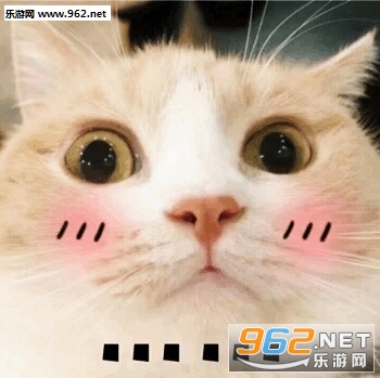 ��ƭ�Ӵ�Ǯ���������ɫ�����