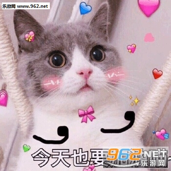 ��ƭ�Ӵ�Ǯ���������ɫ�����