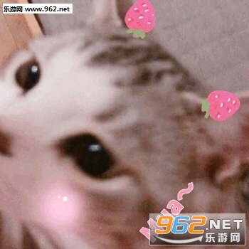 ��ƭ�Ӵ�Ǯ���������ɫ�����