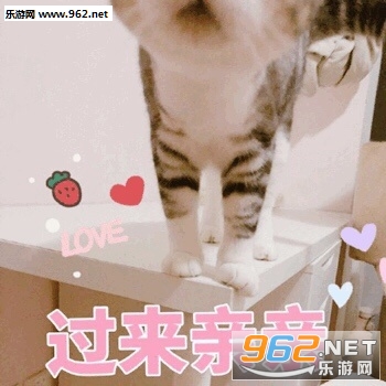 ��ƭ�Ӵ�Ǯ���������ɫ�����