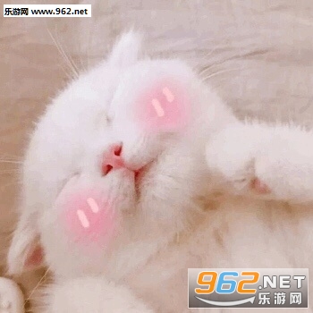 ��ƭ�Ӵ�Ǯ���������ɫ�����