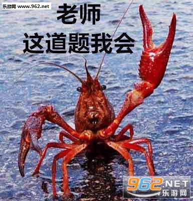 ���¶�������С��⬱����