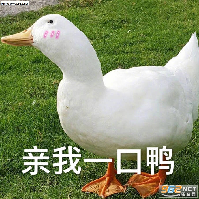 ���°�Ѽ�ɰ�ѼѼ�����