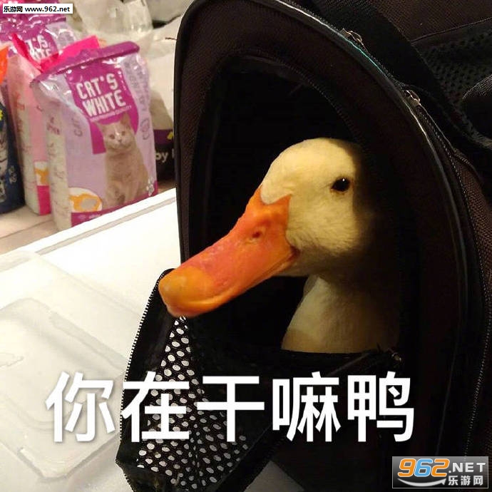���°�Ѽ�ɰ�ѼѼ�����