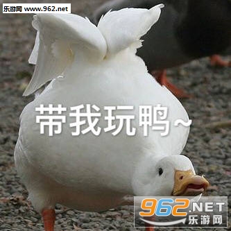 ���°�Ѽ�ɰ�ѼѼ�����