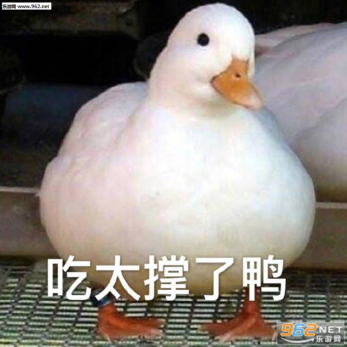 ���°�Ѽ�ɰ�ѼѼ�����