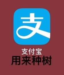 �����������ֻ������ô��ı����