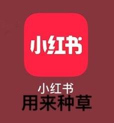 �����������ֻ������ô��ı����