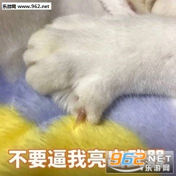 ����д����ı����