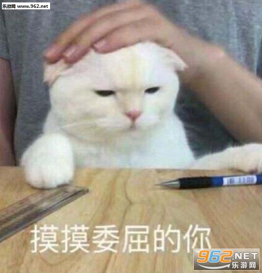 ����̸������ʡǮ�����