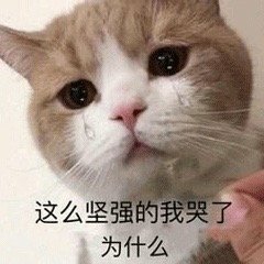 ��æ����ҲҪ�Ȱ׿�ˮ�����