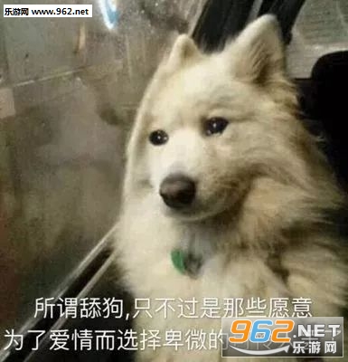 ��΢�����