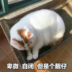 ��΢�����
