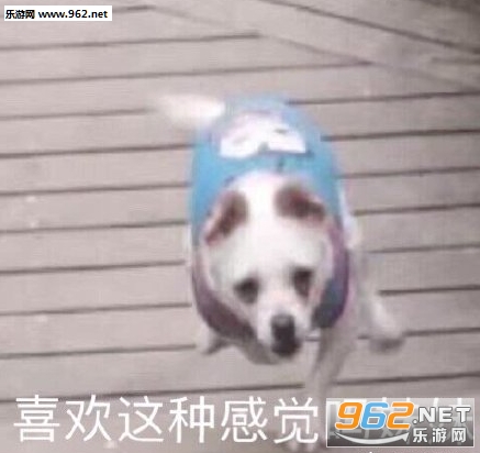可人生为什么就不能一帆风顺呢表情包 可人生为什么就不能一帆风顺呢表情包