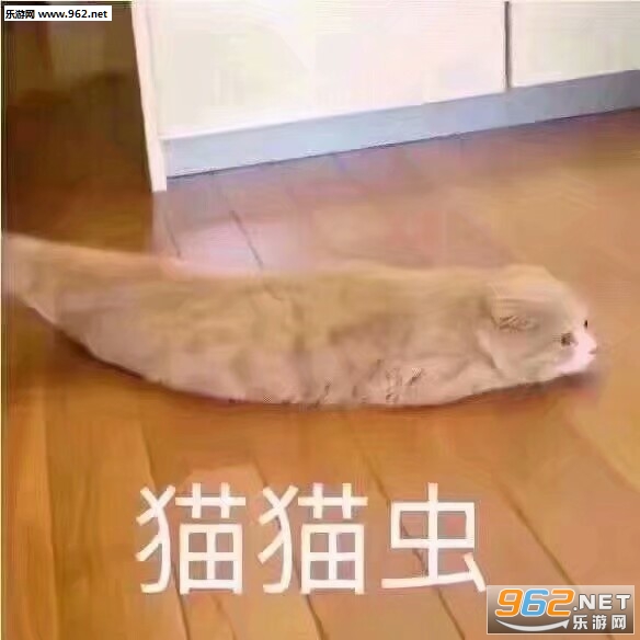 èè��è��ͼƬ