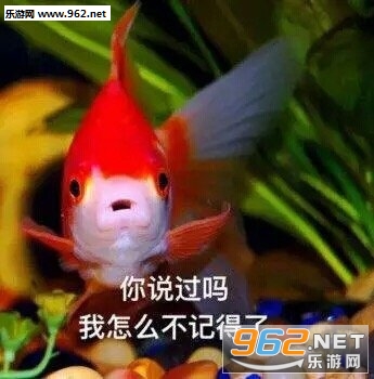 快用红包砸死我吧表情包图片 快用红包砸死我吧表情包图片