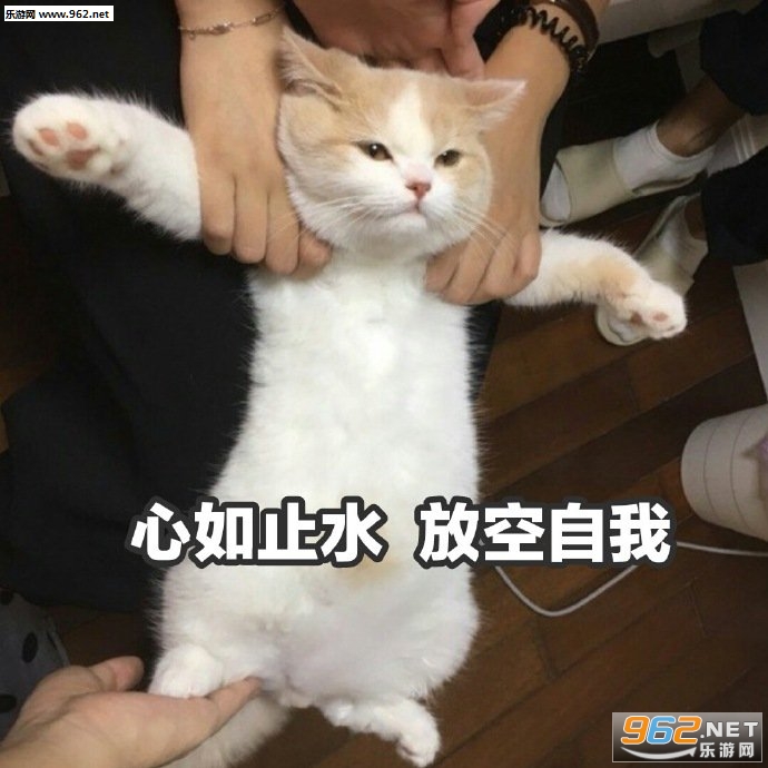 快用红包砸死我吧表情包图片 快用红包砸死我吧表情包图片