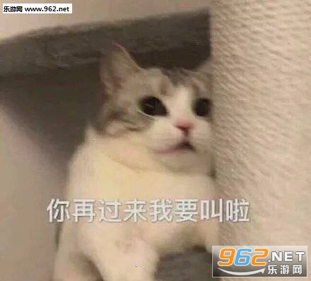 快用红包砸死我吧表情包图片 快用红包砸死我吧表情包图片