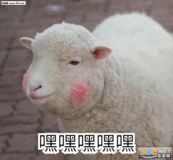 快用红包砸死我吧表情包图片 快用红包砸死我吧表情包图片
