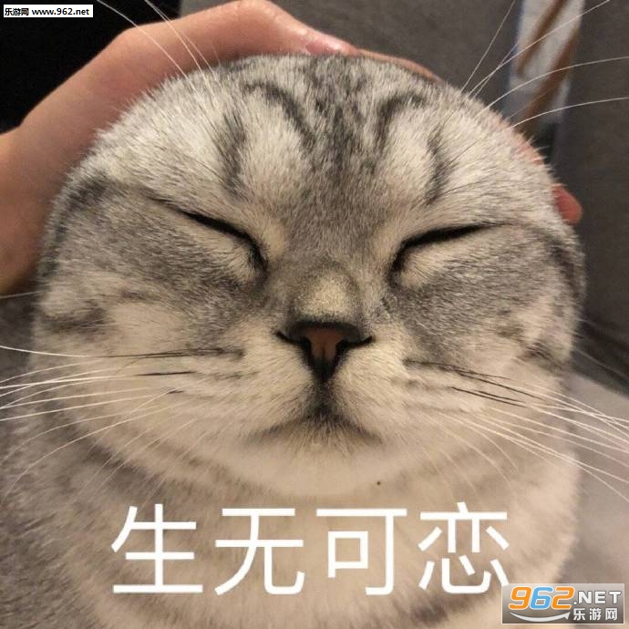 ���������è������