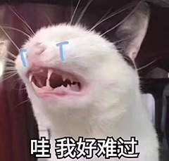 ��ͷ�����ҵ��˱�����������
