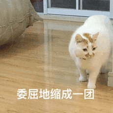��ͷ�����ҵ��˱�����������