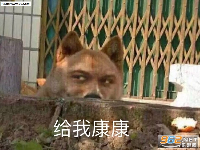 给我康康表情包 给我康康表情包