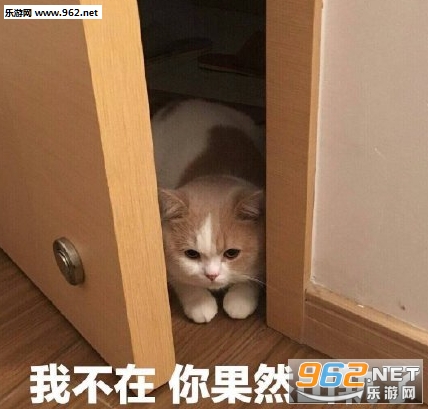给我康康表情包 给我康康表情包