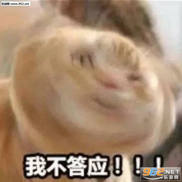 ���ұ�֤���ӹ������