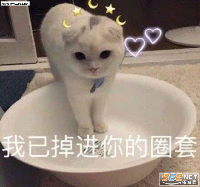 ���ѵ������Ȧ�ױ����