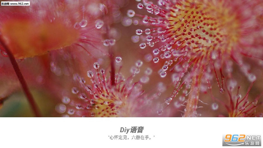 diy语音大师最新版 diy语音大师最新版