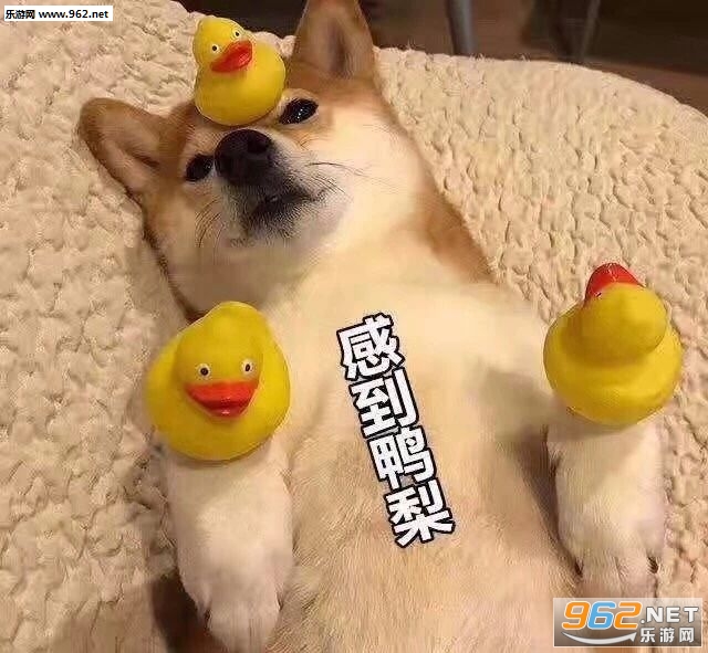 ���������������߾���ү������ǳ�ʧ�������