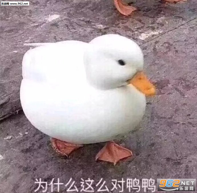 ��ͷ�Ĺ������ұ����
