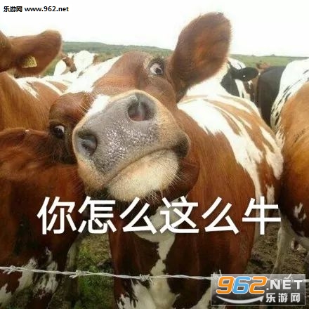 给你五块钱做我女朋友表情包 给你五块钱做我女朋友表情包