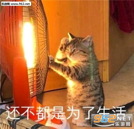 �����㵽���ж�������56ʲô�������