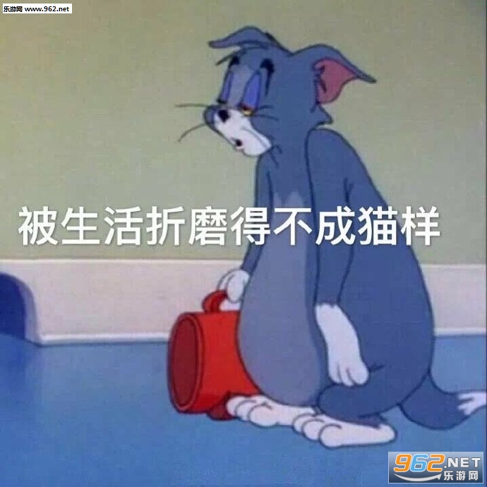 小脾气上头表情包猫 小脾气上头表情包猫